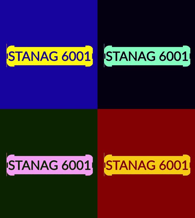STANAGMASTER*COM level 1-2-3. Kurs indywidualny online 3x50 min