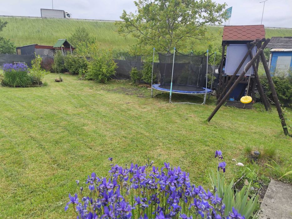 Ogródek/Działka ROD PRZYRODA Elbląg 600 m² - Widok 4
