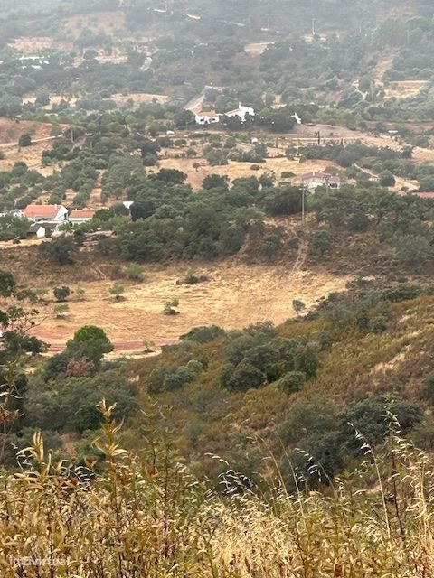 Terreno Rústico  Venda em Salir,Loulé