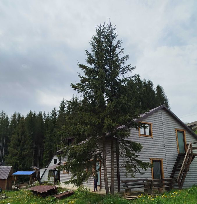 Продаж половини  будинку в Карпатах, Івано-франківська область, с.Яблуниця Буковель