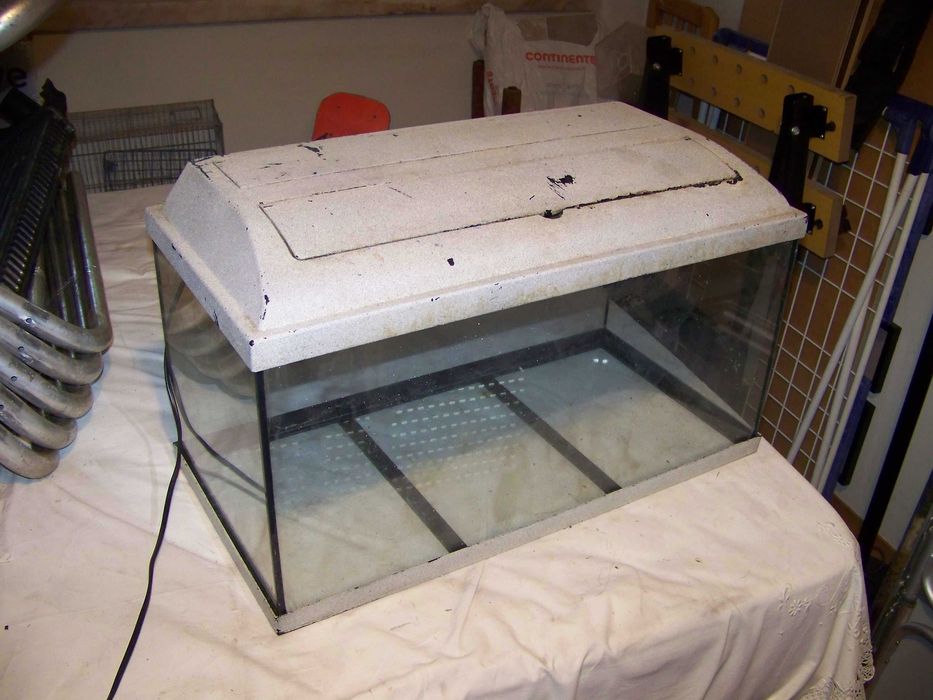 aquário de 54 lts
