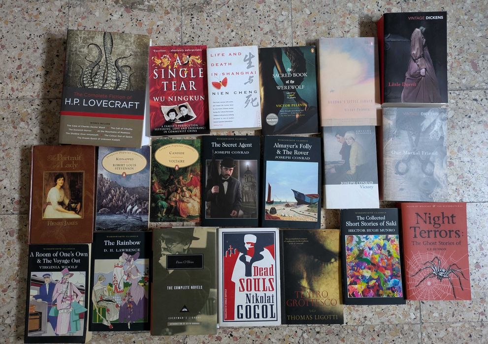 Vários Livros em Língua Inglesa 1