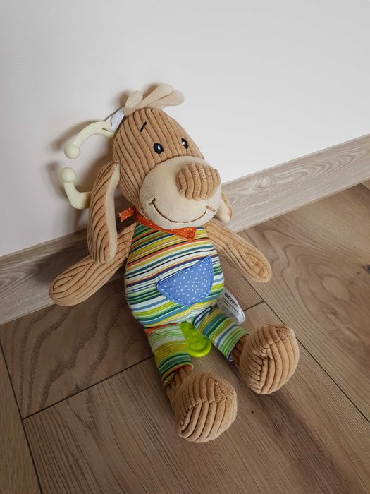 Piesek pozytywka babyono