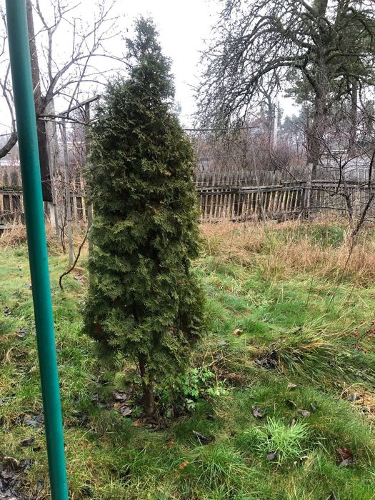 !! Гаряча пропозиція - будинок в в центрі Клавдієво-Тарасове