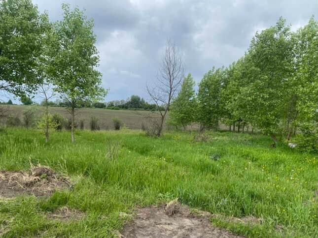 Продам земельну ділянку село Безп'ятне