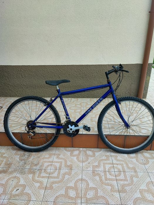 Bicicleta estilo vintege (Bike Queen, Flecha)