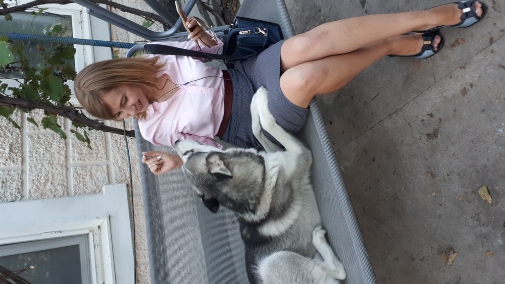 Хаскі красунчик кабель Марсель Вязка