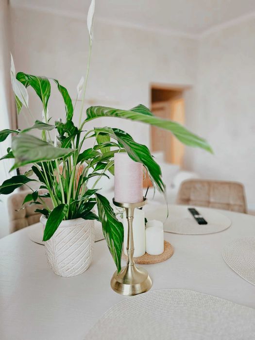 NOWY Apartament - Stare Miasto - Widok na ratusz -  - TELEFON: 572-527-525