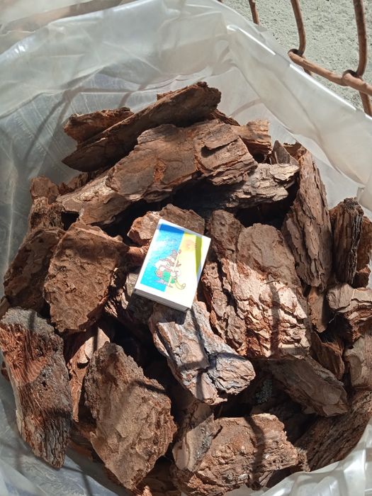 кора соснова  мульча з доставкою