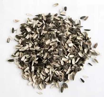 Łuska słonecznika naturalna pasza 5kg ściółka ściółkowanie roślin