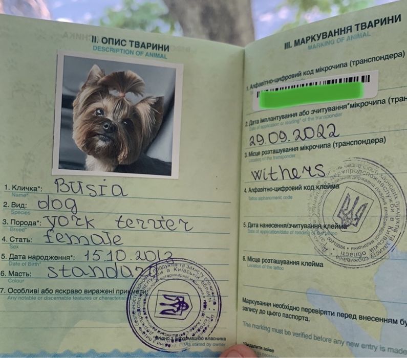 Срочно. Оформление документов, титри, паспорт, ф1