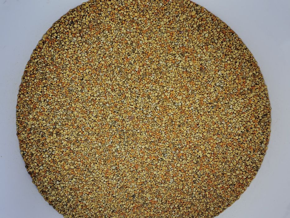 Пилок бджолиний 2025