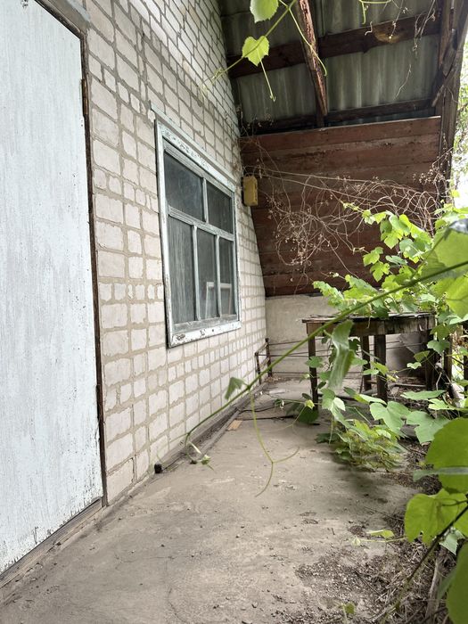 Дача під самим лісом