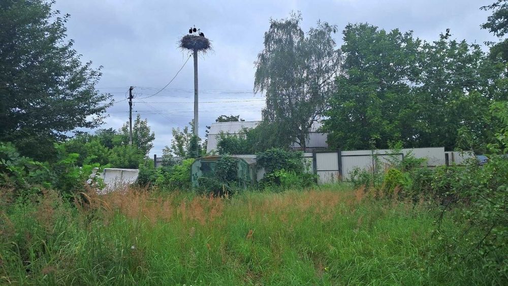 СМ Земельна ділянка для будівництва будинку мрії біля лісу