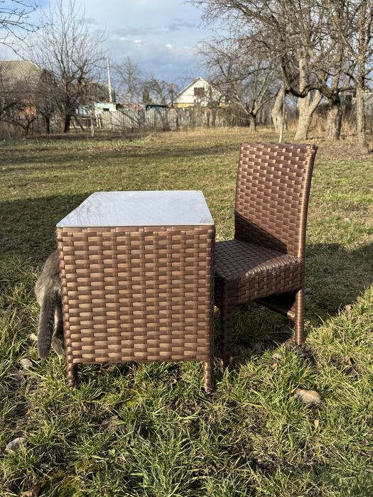 Дитячі меблі з ротанга