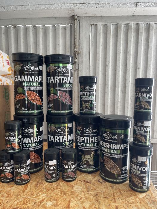 Tartarugas e reptiles