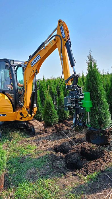 Sprzedam tuje "szmaragd" 1,6m-2,3m