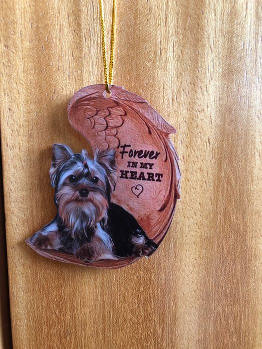 Pingente novo Yorkshier