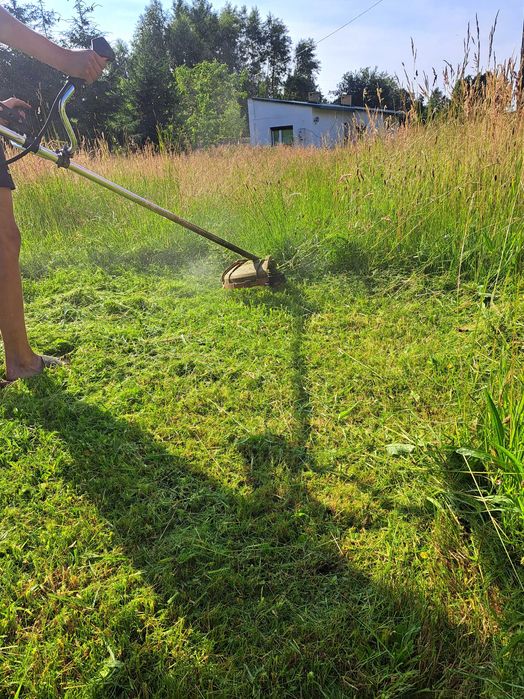 Koszenie Traw Porządkowanie Terenu Wycinka Drzew