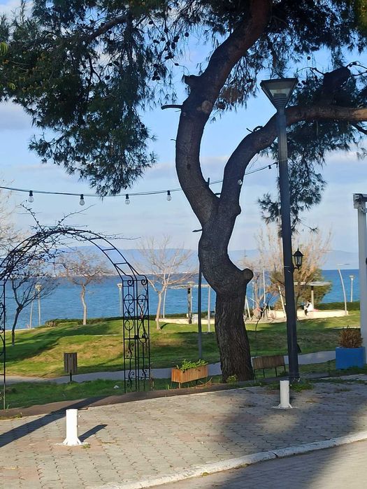 Греція. Ханіоті, Халкідікі 80м море.