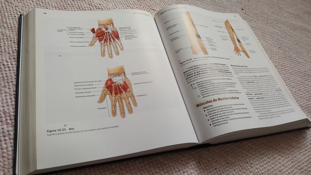 Livro - Anatomia e Fisiologia