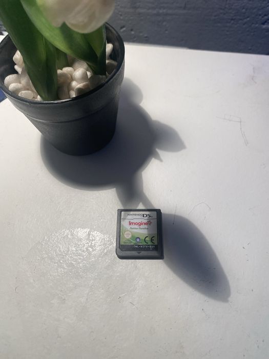 Jogos nintendo ds!!!