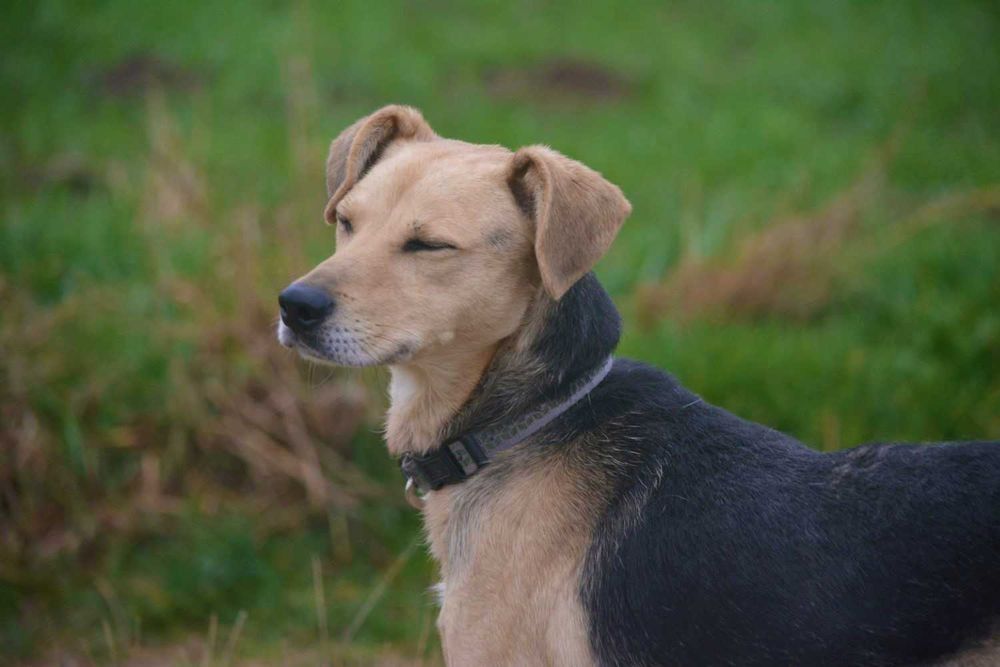 Vito szuka właśnie Ciebie!