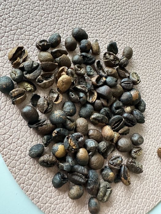 Kawa lavazza - uwaga na zakupy