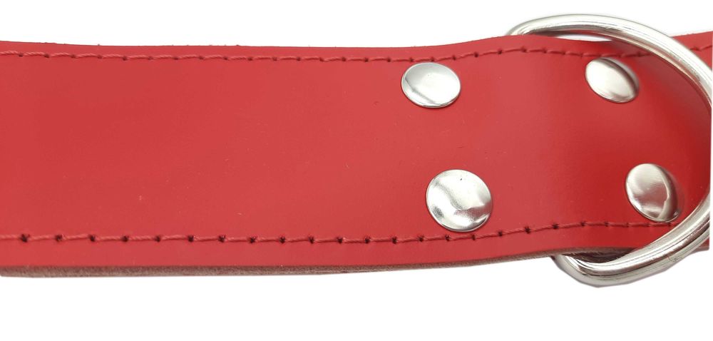 Obroża Dla psa Skórzana Gruba Mocna Skóra Naturalna 5cm/60cm DINO