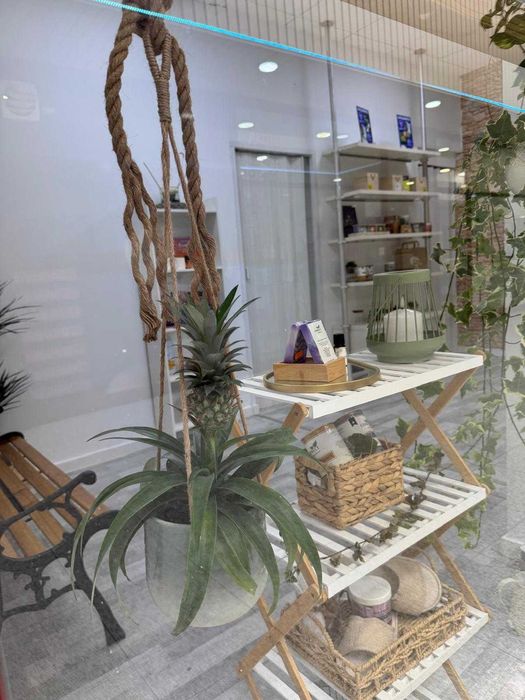 Espaço clínico para Terapeutas e Medicina Integrativa