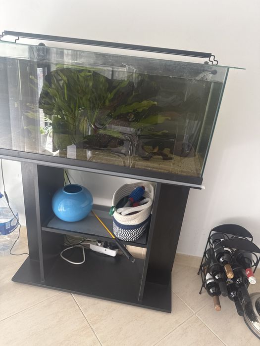 Aquario Aquatlantis completo (70Cx40Ax30L)