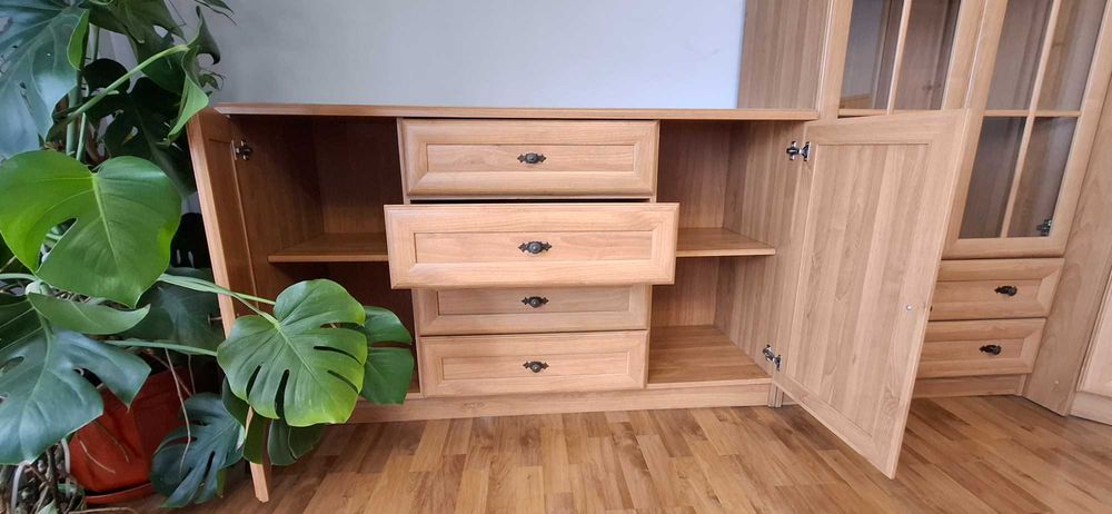 Komplet mebli do salonu