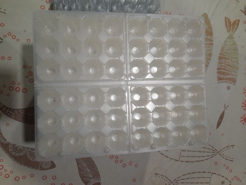 Caixas para ovos de codorniz