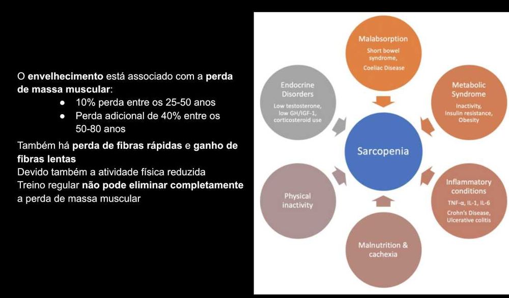 Resumos Completos de Metabolismo e Nutrição