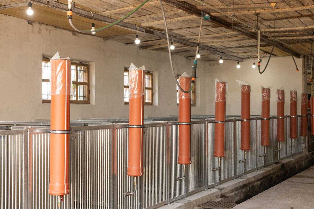 Продаж ферми з підсобними приміщеннями