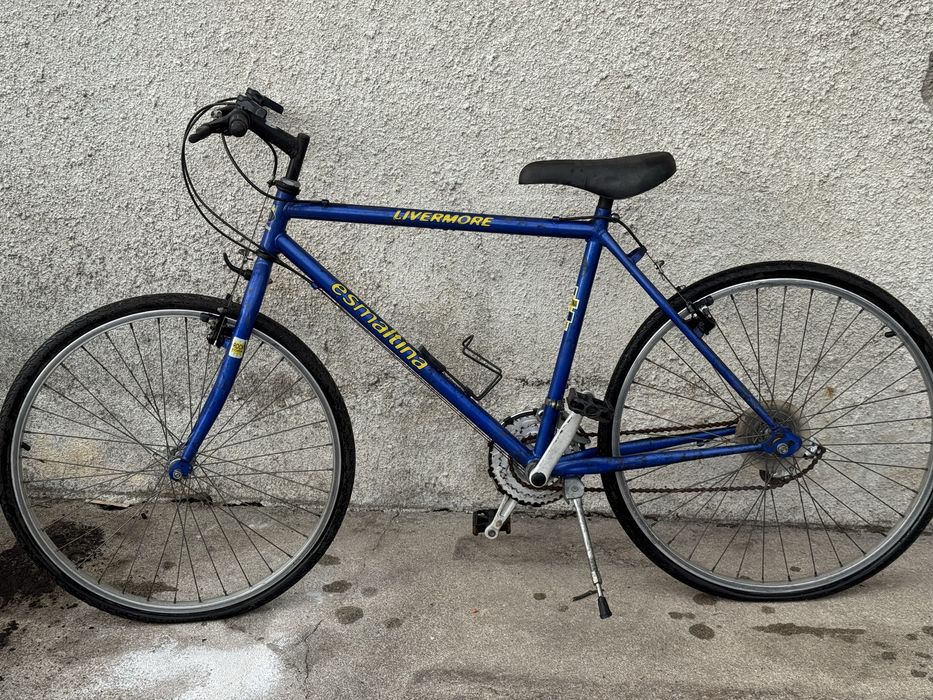 Bicicleta antiga