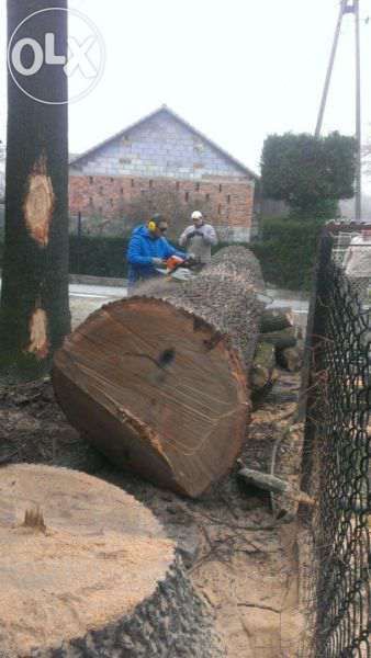 Wycinka Drzew, Pielęgnacja drzew, Frezowanie Pni, Usługi rębakiem