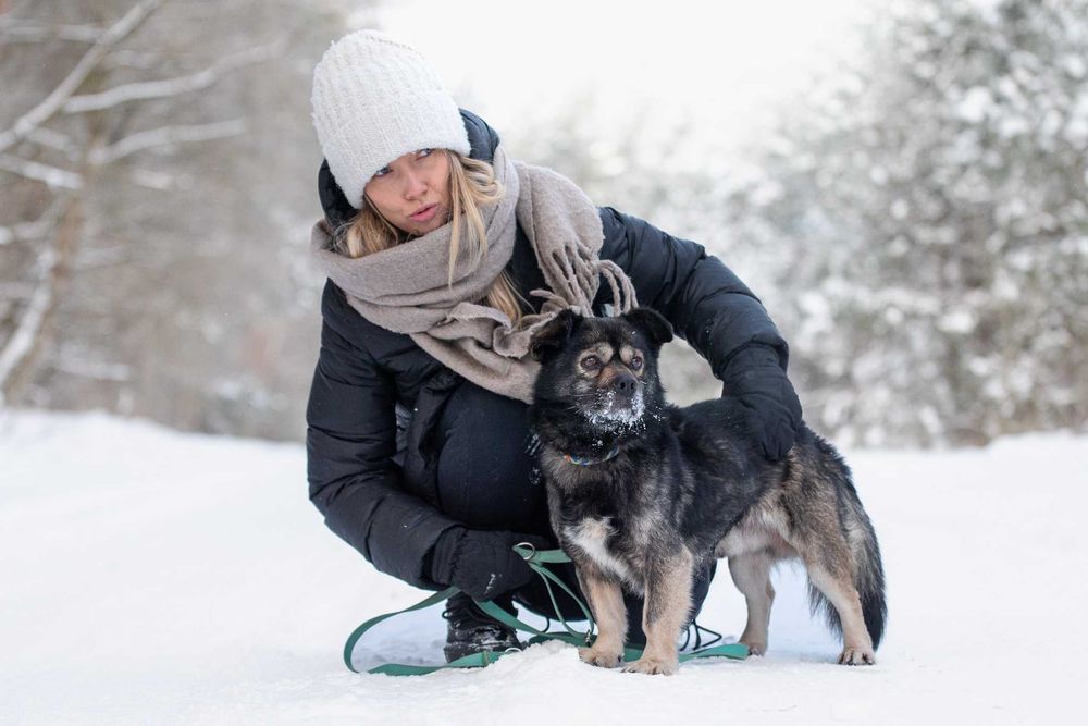 KIMBO - młodziutki, puszysty słodki pyszczek