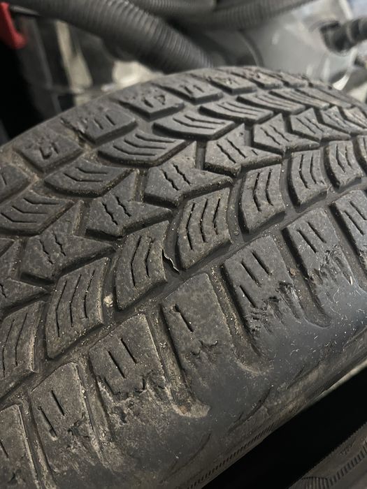 Opony zimowe debica frigo fp2 195/55/16