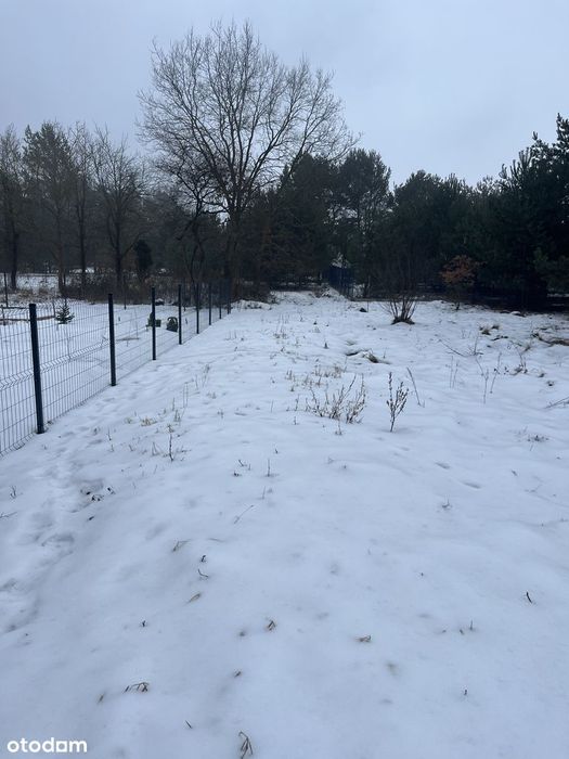 Cudowna działka z warunkami zabudowy w otulinie Kampinoskiego PN - Widok 5
