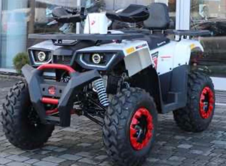 Квадроцикл Forte Braves 125/150200