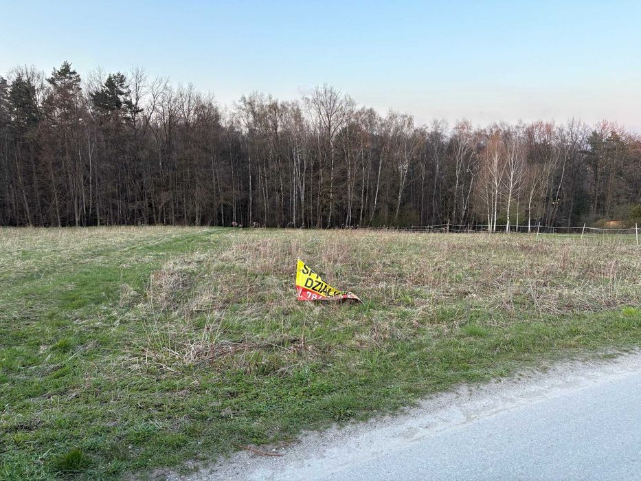 Sprzedam działkę 20 arów Głogoczów - Widok 3