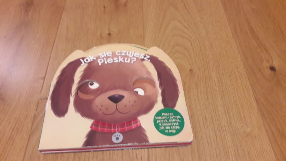Książeczka Jak się czujesz piesku