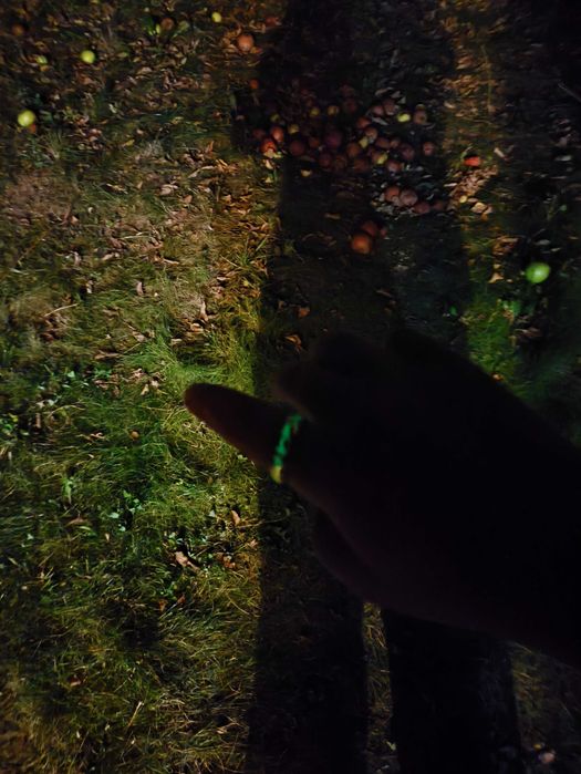 Кольцо Всевластия с люминесцентной гравировкой на языке мордора