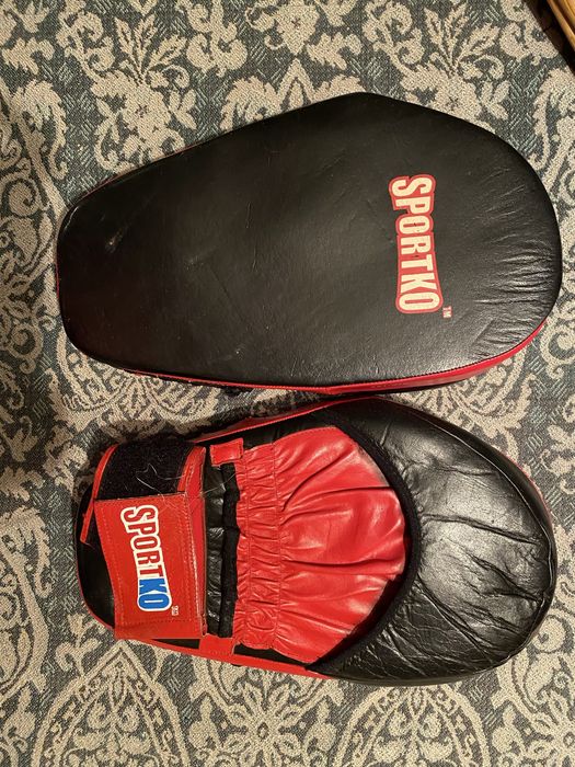 Лапи для єдиноборств