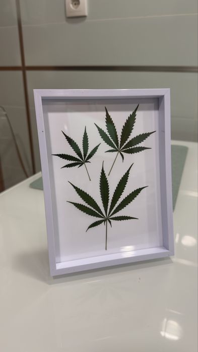 Quadro moldura decorativo folha prensada de cânhamo