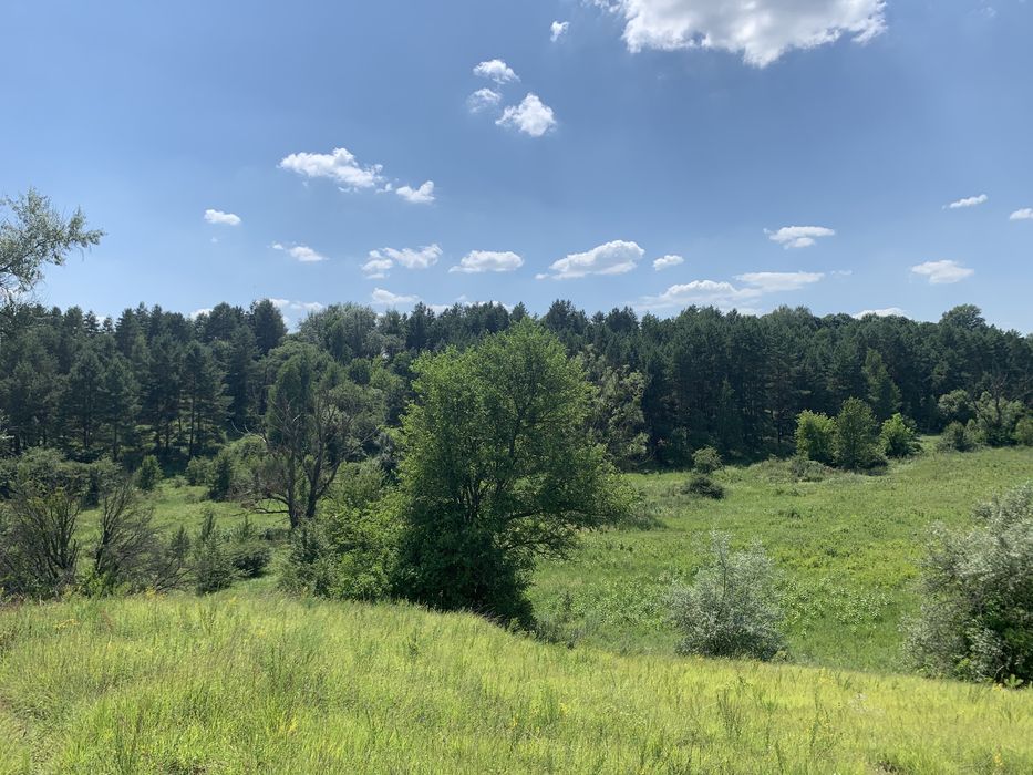 Ржищев 6 га ОСГ , живописно