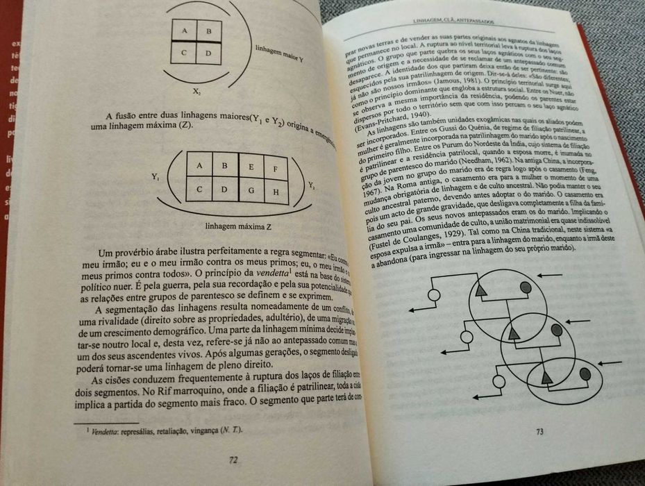 livro "Introdução ao estudo do parentesco" Christian Ghasarian