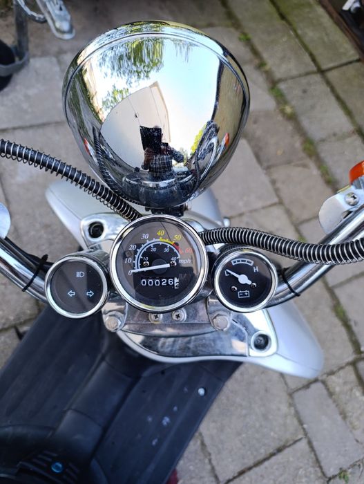 Hulajnoga elektryczna Cruiser.