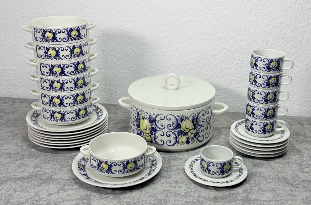 Фарфоровый столовый сервиз и террен кофейный сервиз фирмы Villeroy Boch серия Cadiz GDR Германия